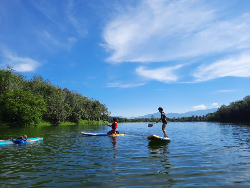 stand up paddling