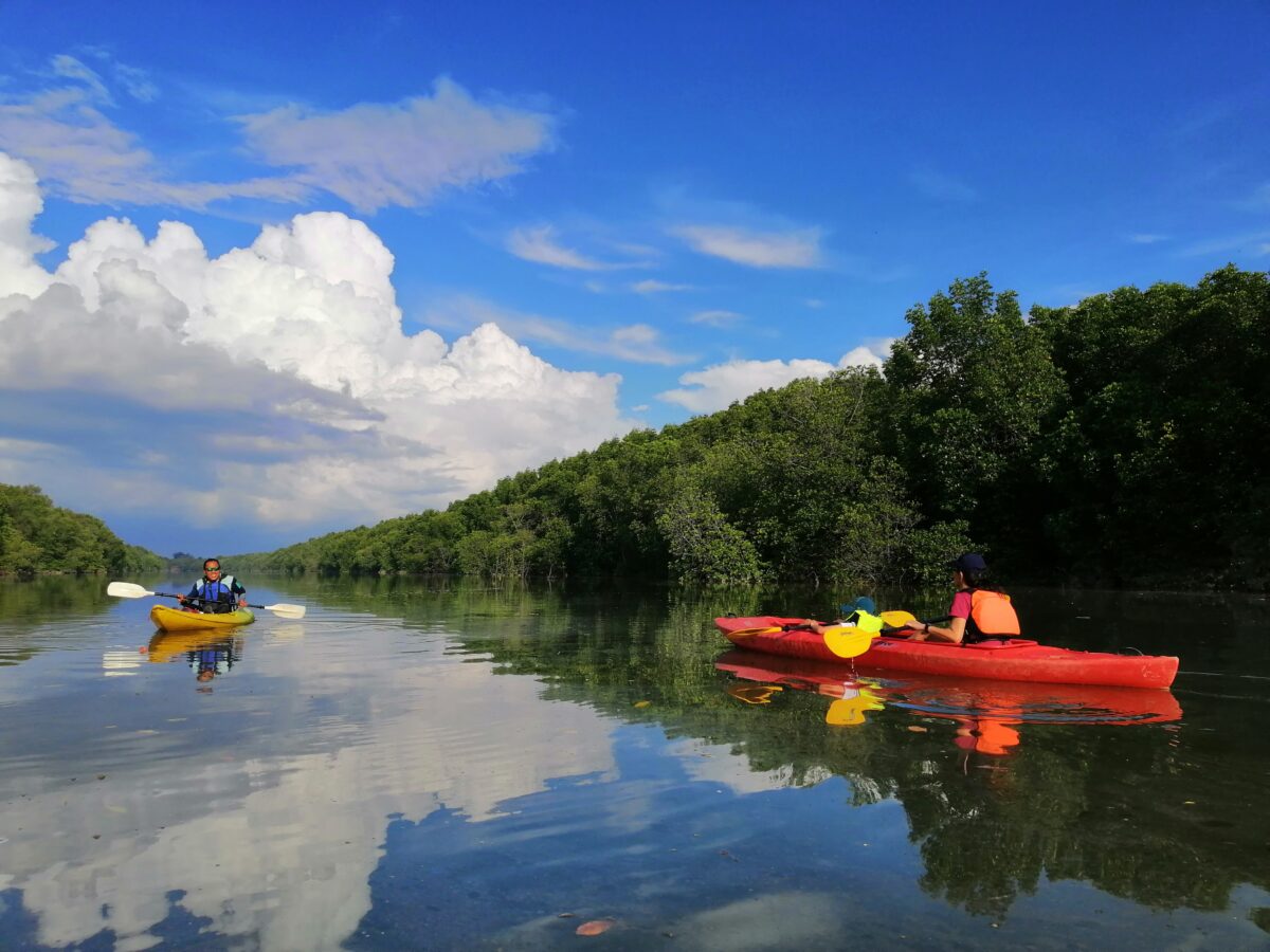 Paddling the mangrove channels