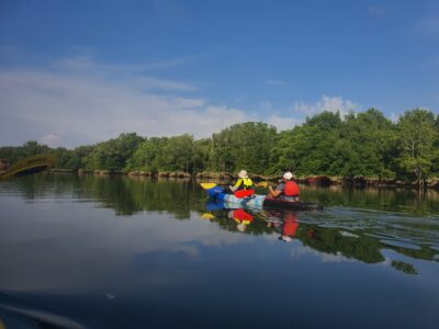 People on mangrove kayaking tour