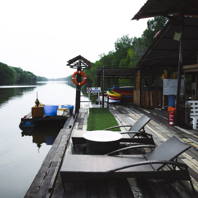 Take a Retreat in Malaysia with the wildlife of the Sepang Mangroves