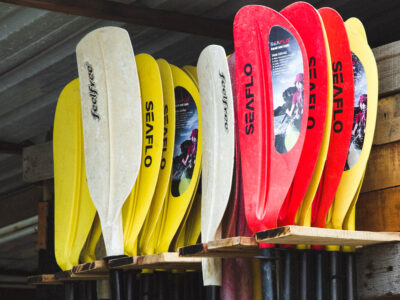 Paddles needed for mangrove tour