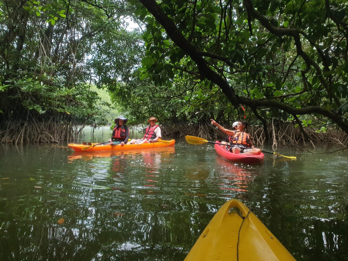 Short Vacation in Malaysia - reconnect with nature